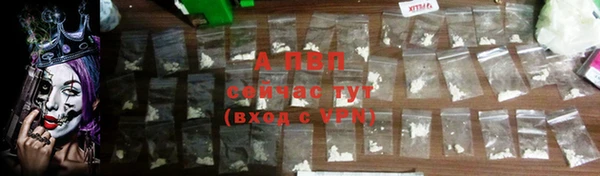 амф Верхний Тагил