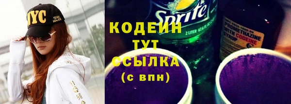 амф Верхний Тагил