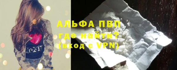 амф Верхний Тагил