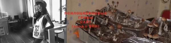 mdpv Бронницы